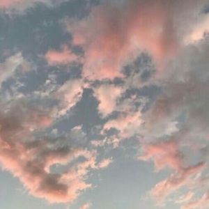 Meet your Posher, Kendall